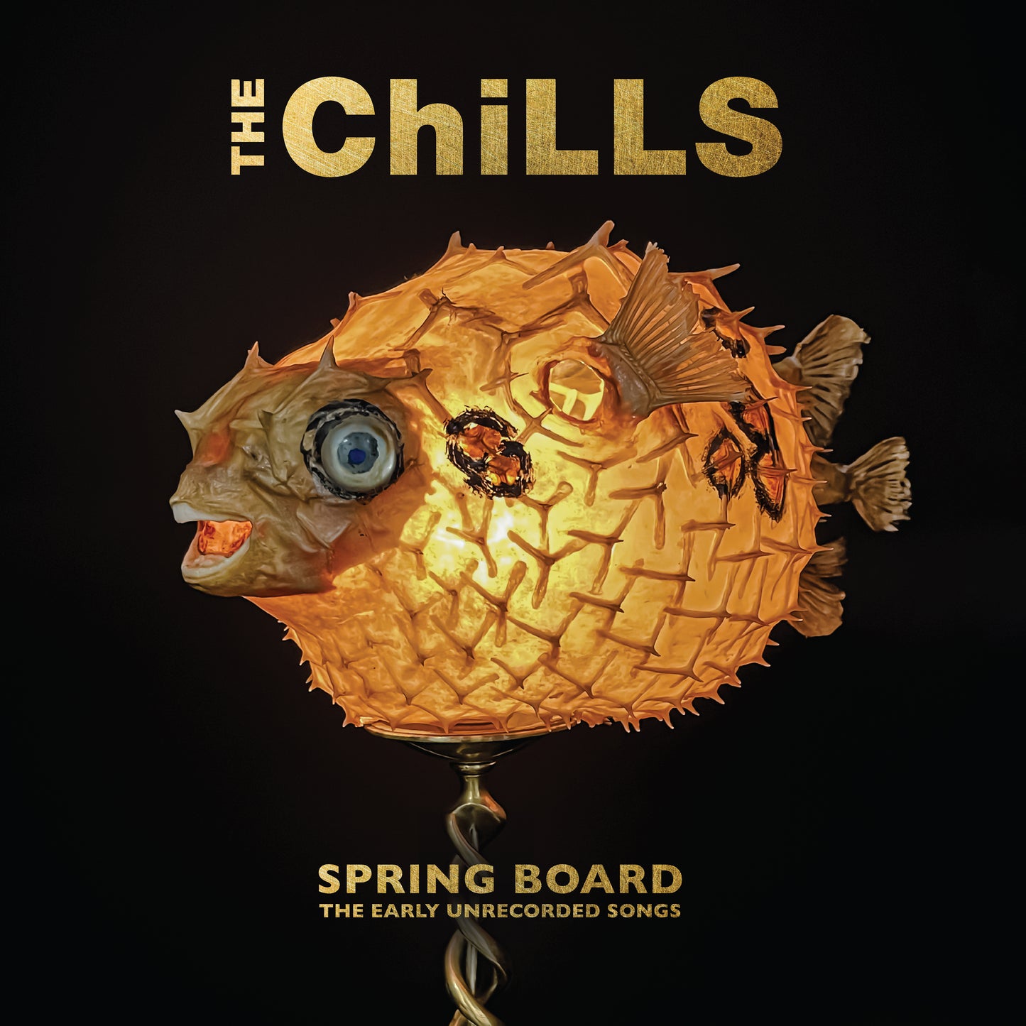 The Chills – Spring Board: The Early Unrecorded Songs