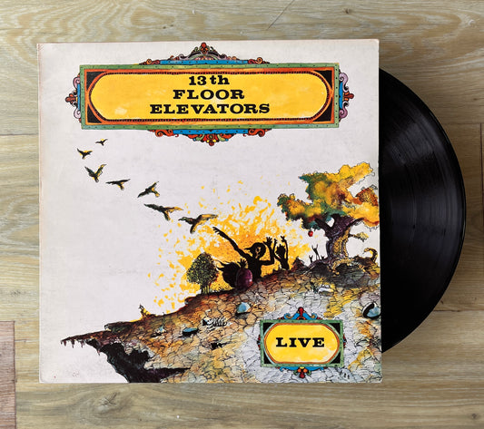 13th Floor Elevators - Live