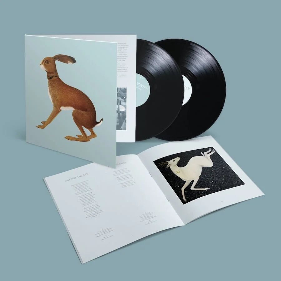 Vashti Bunyan - Lookaftering (Expanded Edition)