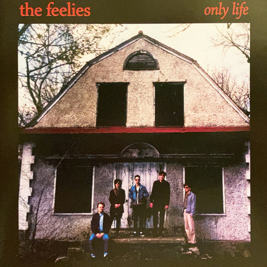 The Feelies - Only Life