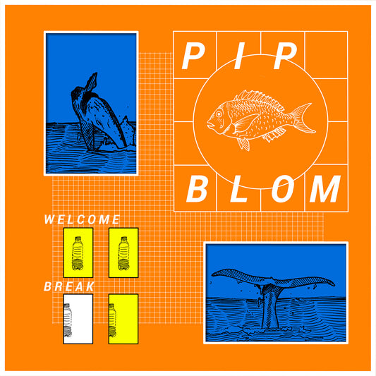 Pip Blom - Welcome Break