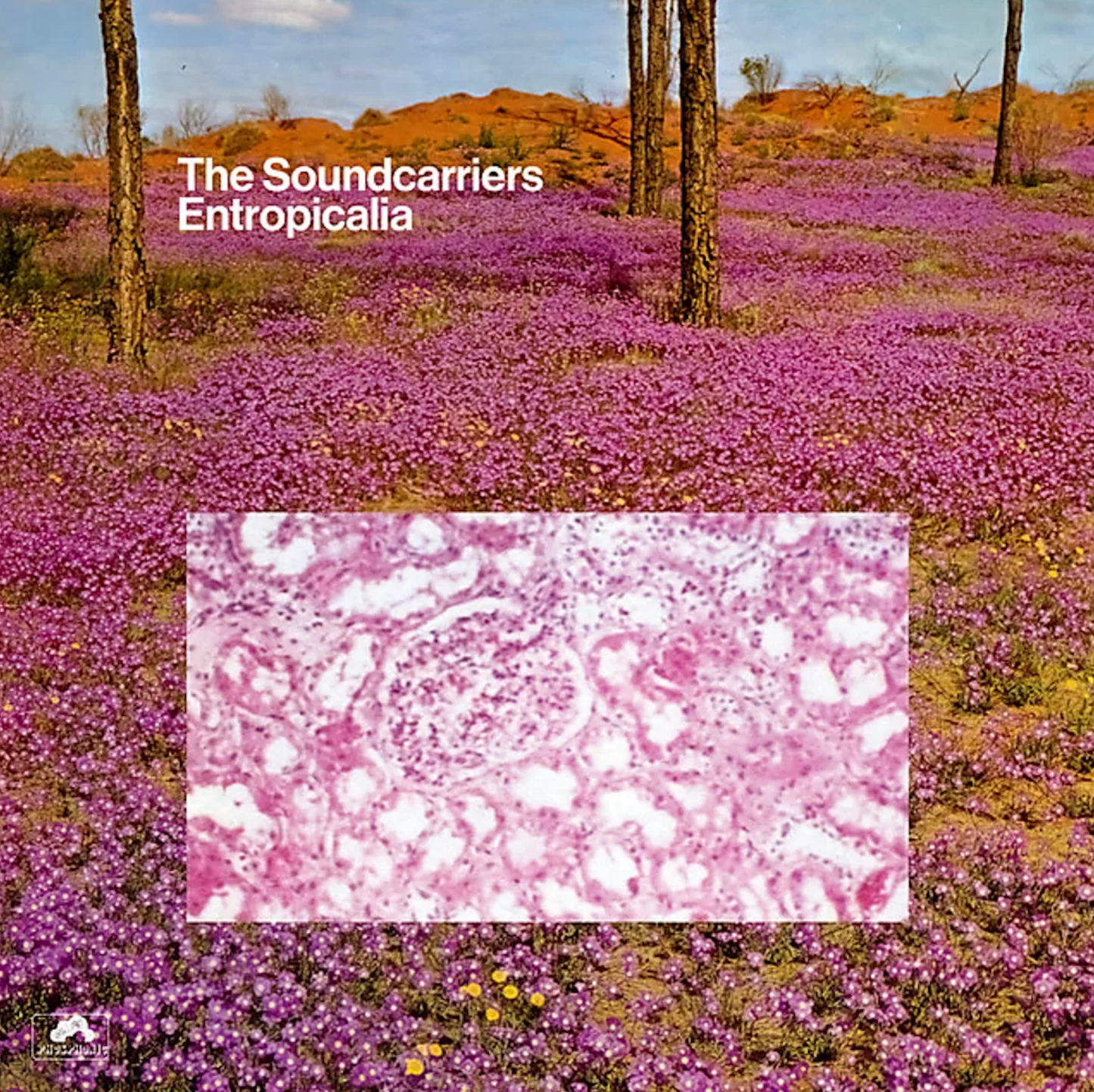 The Soundcarriers - Entropicalia