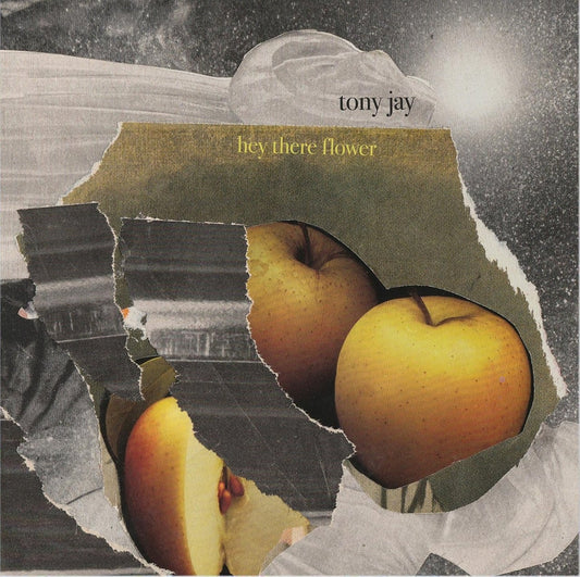 Tony Jay - Hey There Flower