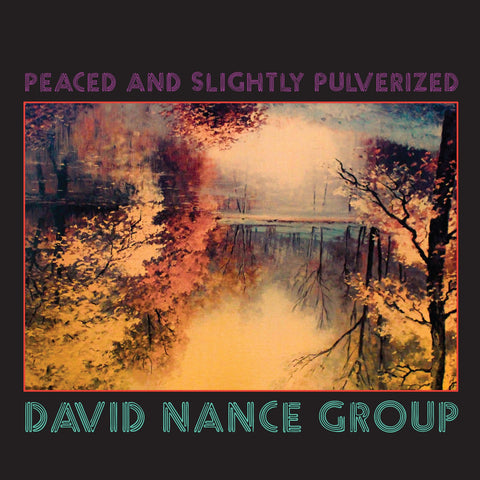 David Nance Group - Peaced & Slightly Pulverized-LP-South