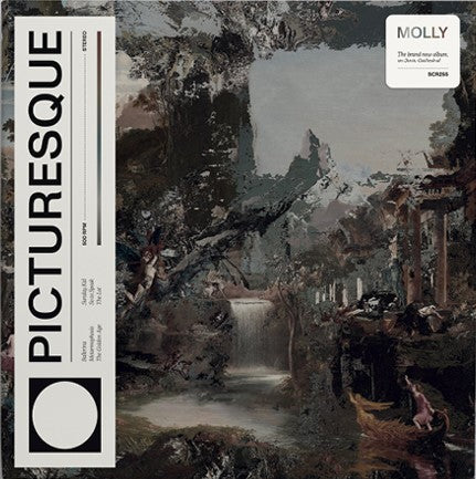 MOLLY - Picturesque